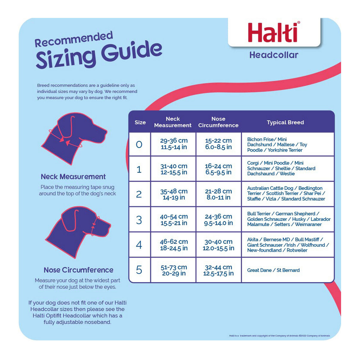 Harjoittelukauluri koiralle Company of Animals Halti Musta Kuonokoppa (29-36 cm)