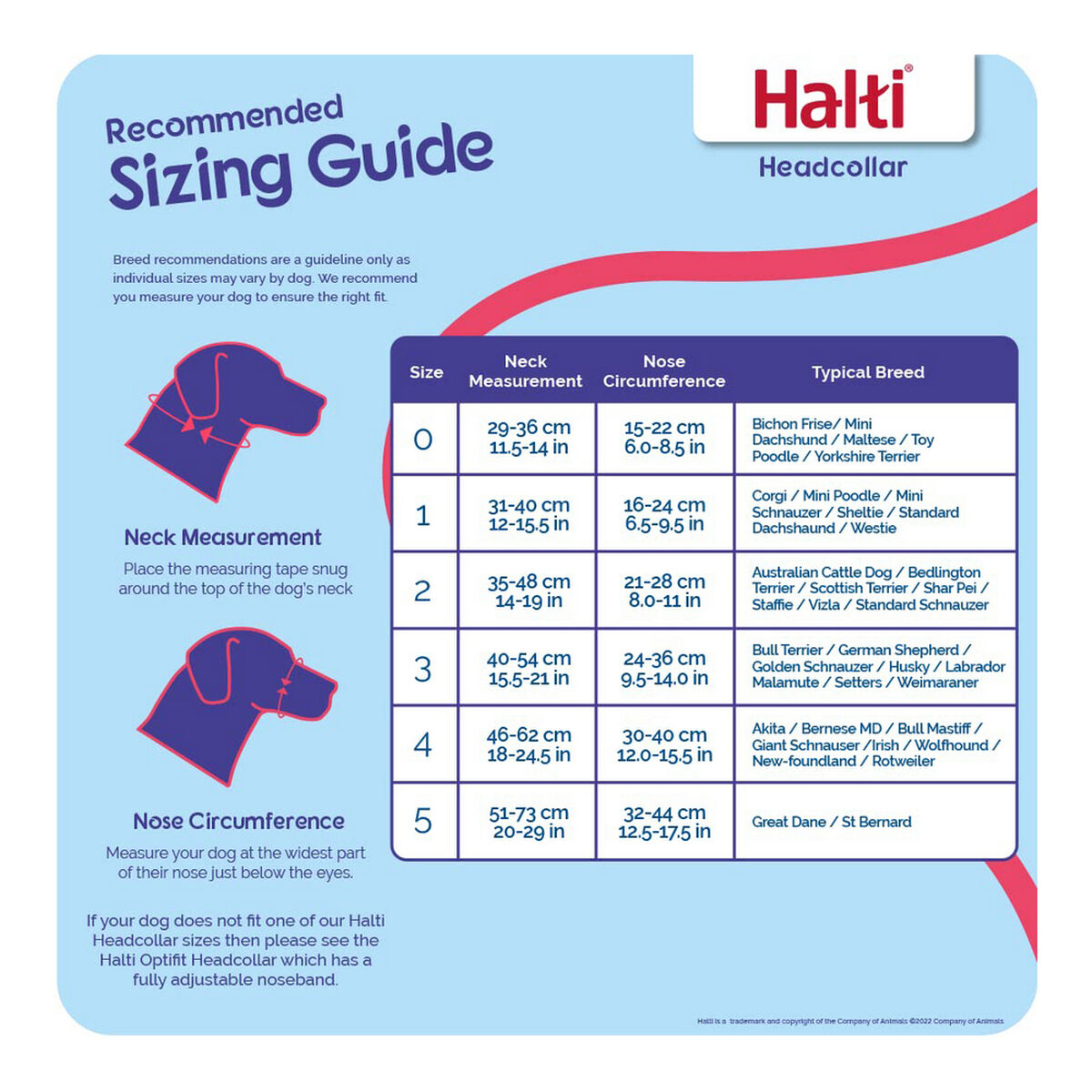 Harjoittelukauluri koiralle Company of Animals Halti Musta Kuonokoppa (31-40 cm)