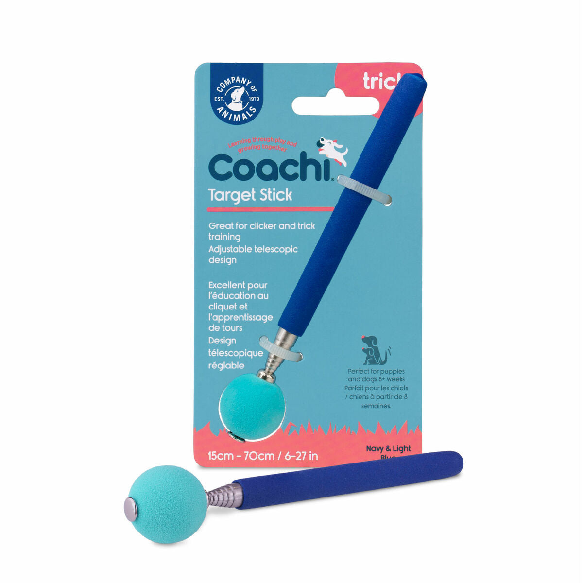 Training toy Coachi Stick Sininen