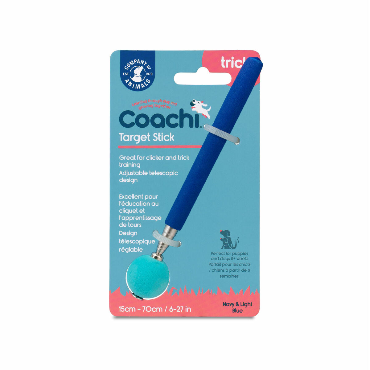 Training toy Coachi Stick Sininen