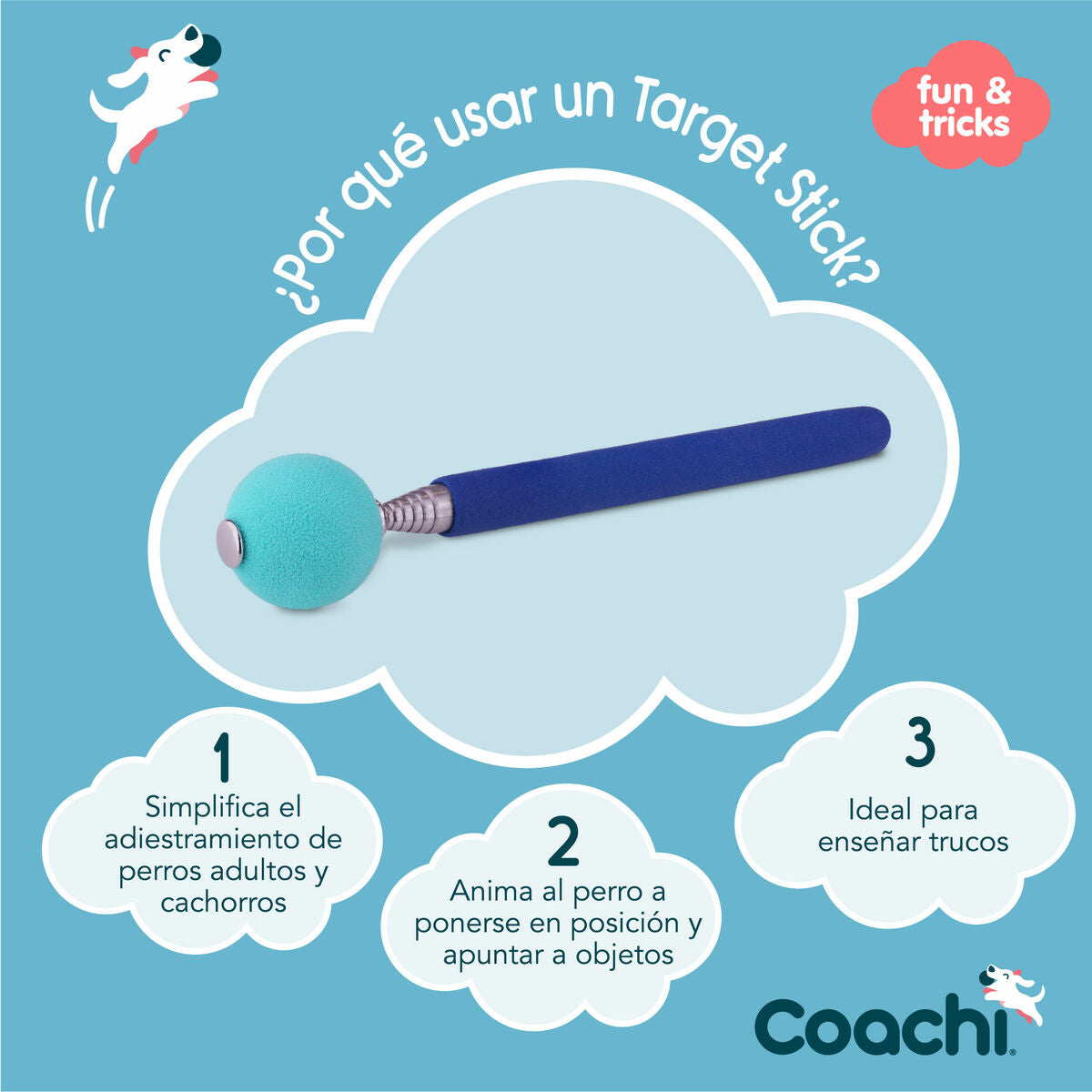 Training toy Coachi Stick Sininen