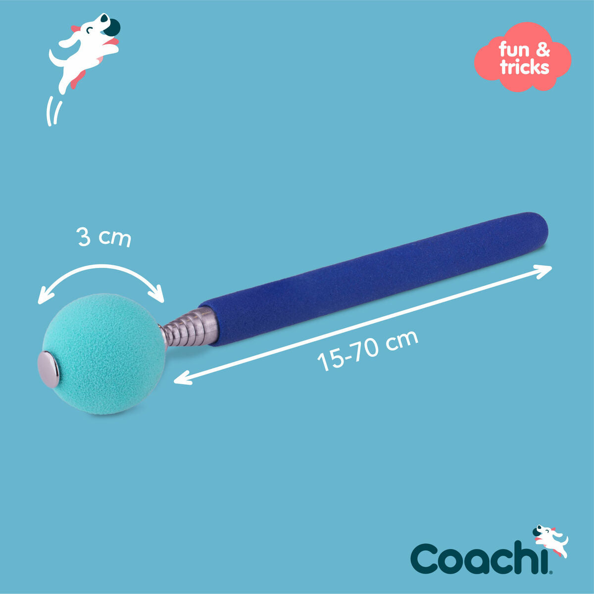 Training toy Coachi Stick Sininen