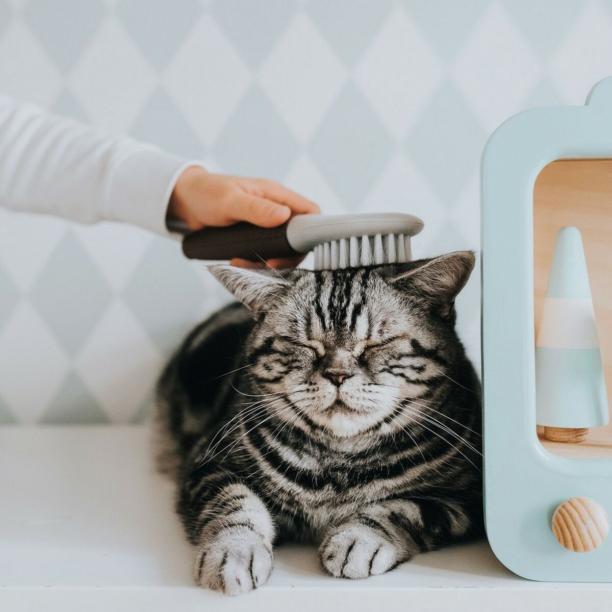 Karvanpoistoharja Hunter Extra Soft