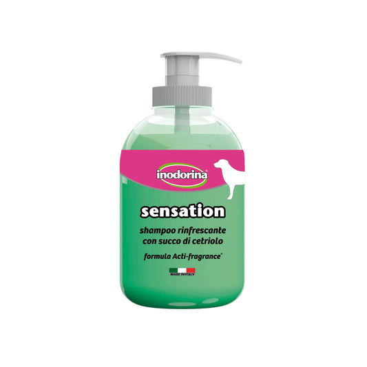 Lemmikkishampoo Inodorina 300 ml