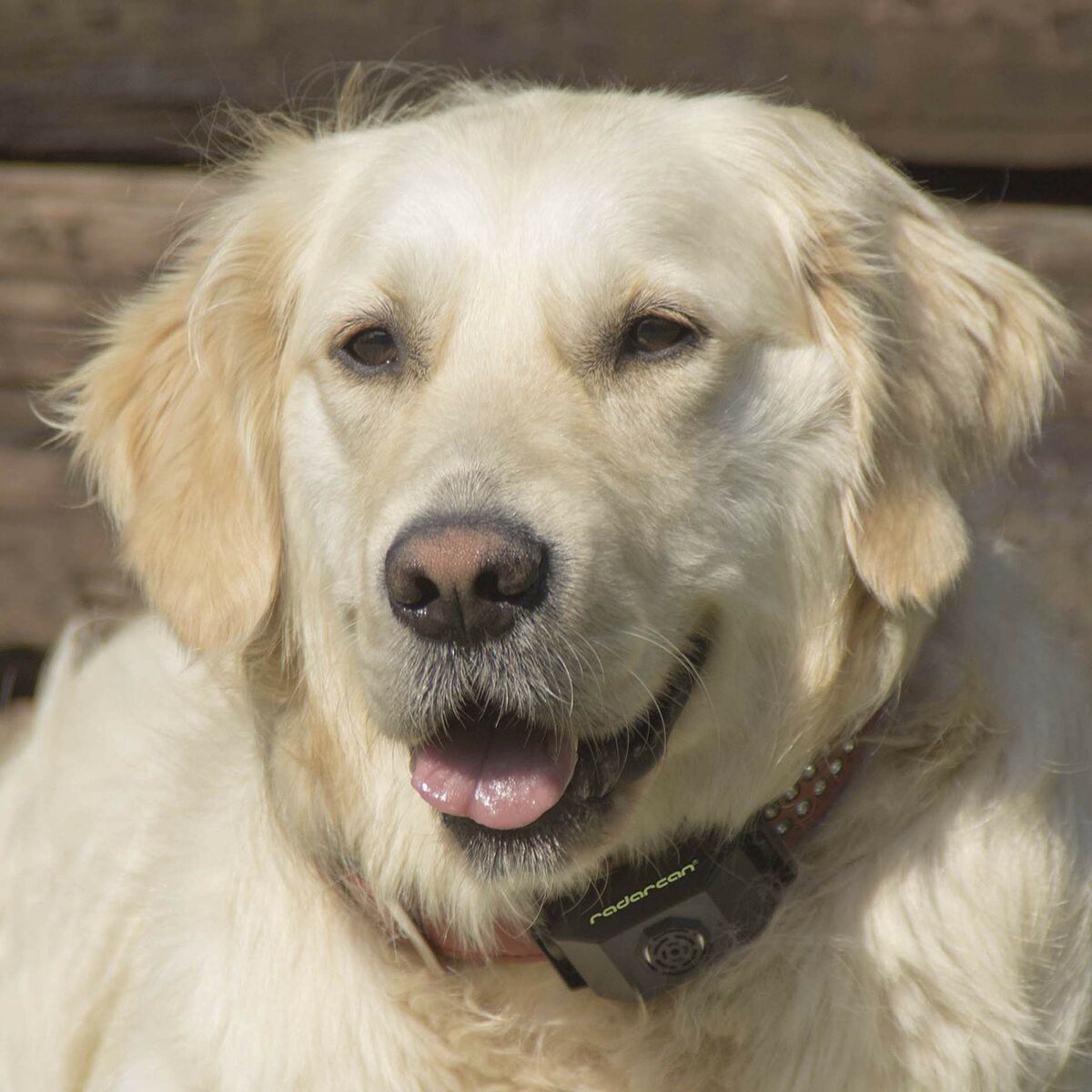 Antiparasiittiset Radarcan Lemmikit Ultraääni