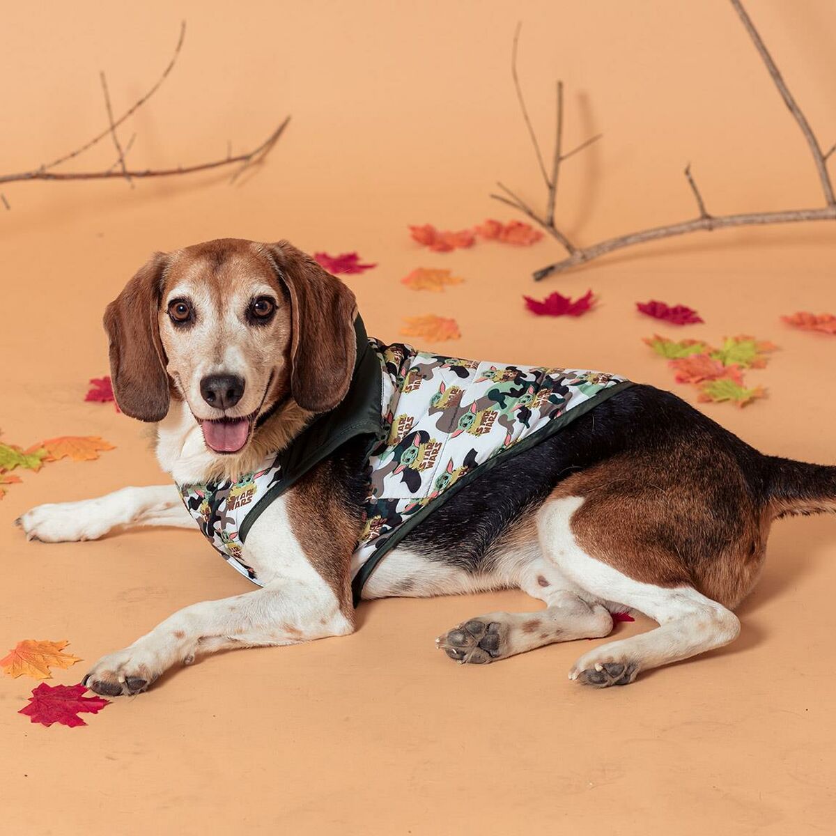 Koiran takki The Mandalorian XS Vihreä