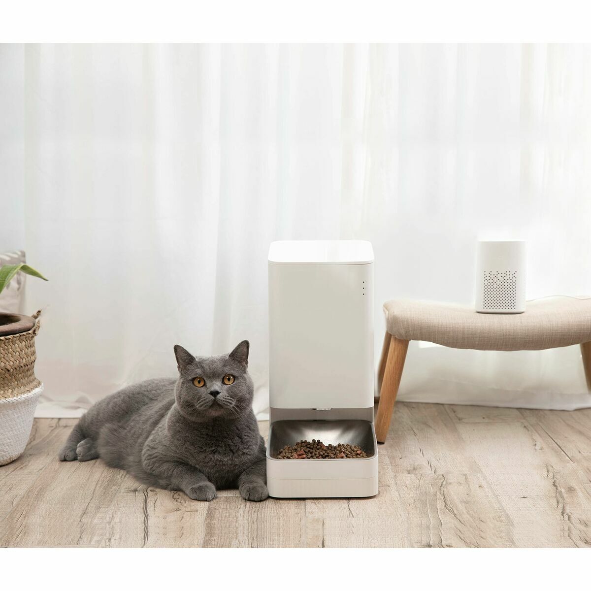 Automaattinen syötin Xiaomi Smart Pet Food Feeder Valkoinen 1,8 kg
